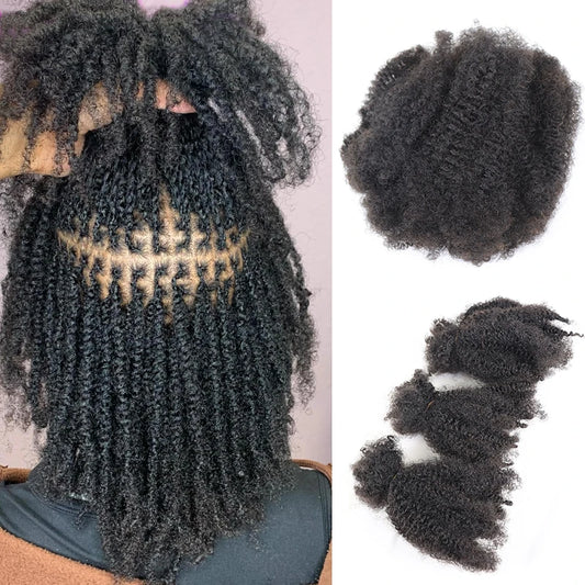 50g Dreadlocks Afro Kinky Curly Human Hair Extension For Women Colored Crochet Braiding No Weft Indian Virgin Hair Bulk
